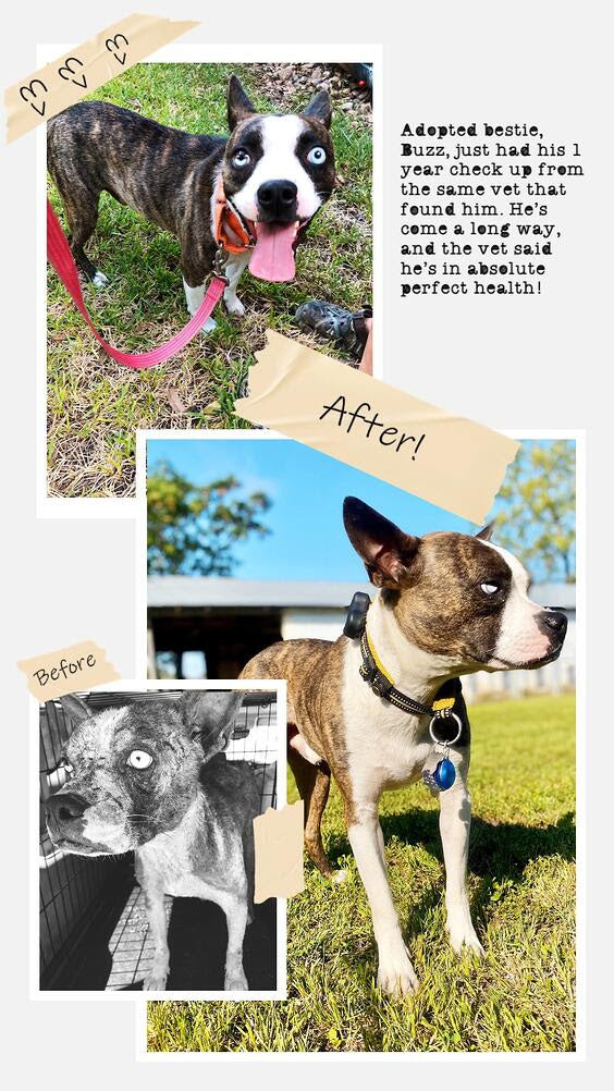 NetSuite Sandbox Test Product